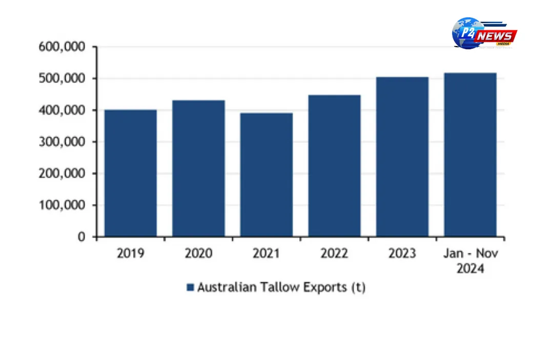 Australia's Tallow Exports Surge to Unprecedented Heights: A Record-Breaking Year Unveiled!