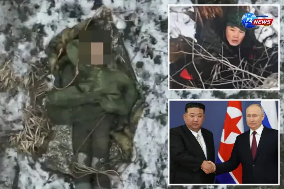 Tragic Fate: North Korean Soldiers Captured in Ukraine Succumb to Injuries, Reveals Zelensky