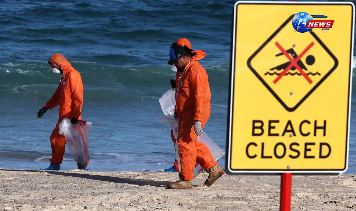 "Curious Mystery Balls Disrupt Nine Northern Sydney Beaches Following Fatberg Crisis!"