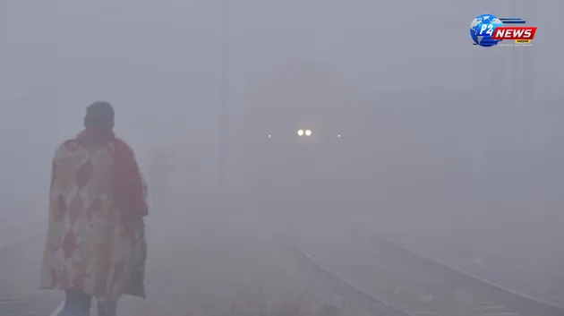 Delhi's Chilling Fog Disrupts Travel: 100+ Flights Delayed and 26 Trains Affected at IGI Airport