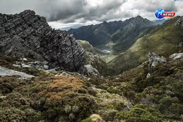 Tragic Discovery: Bushwalker's Remains Unearthed in Tasmania's Untamed Wilderness